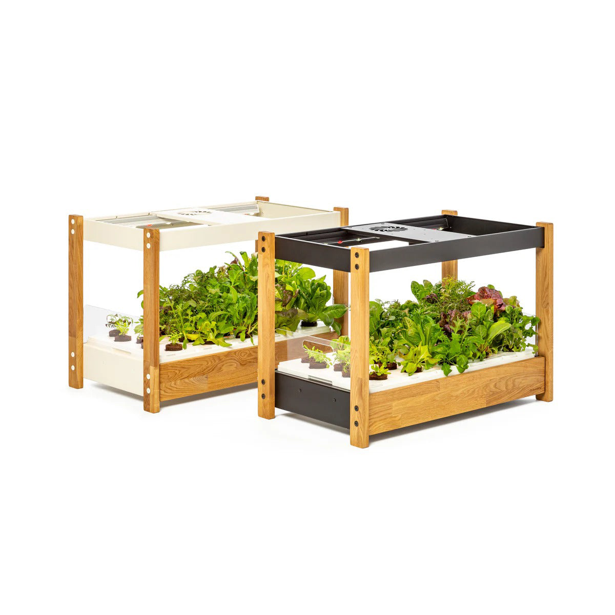 Click & Grow - 25 Indoor Starter Kit
