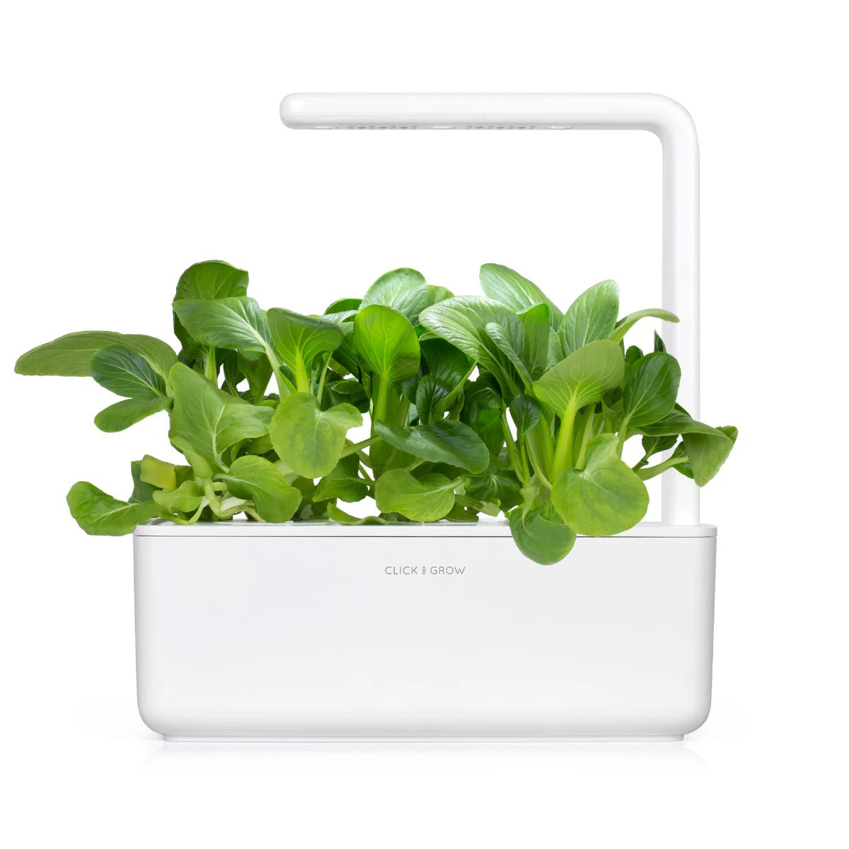 Click & Grow - Smart Garden Refill - Pak Choi