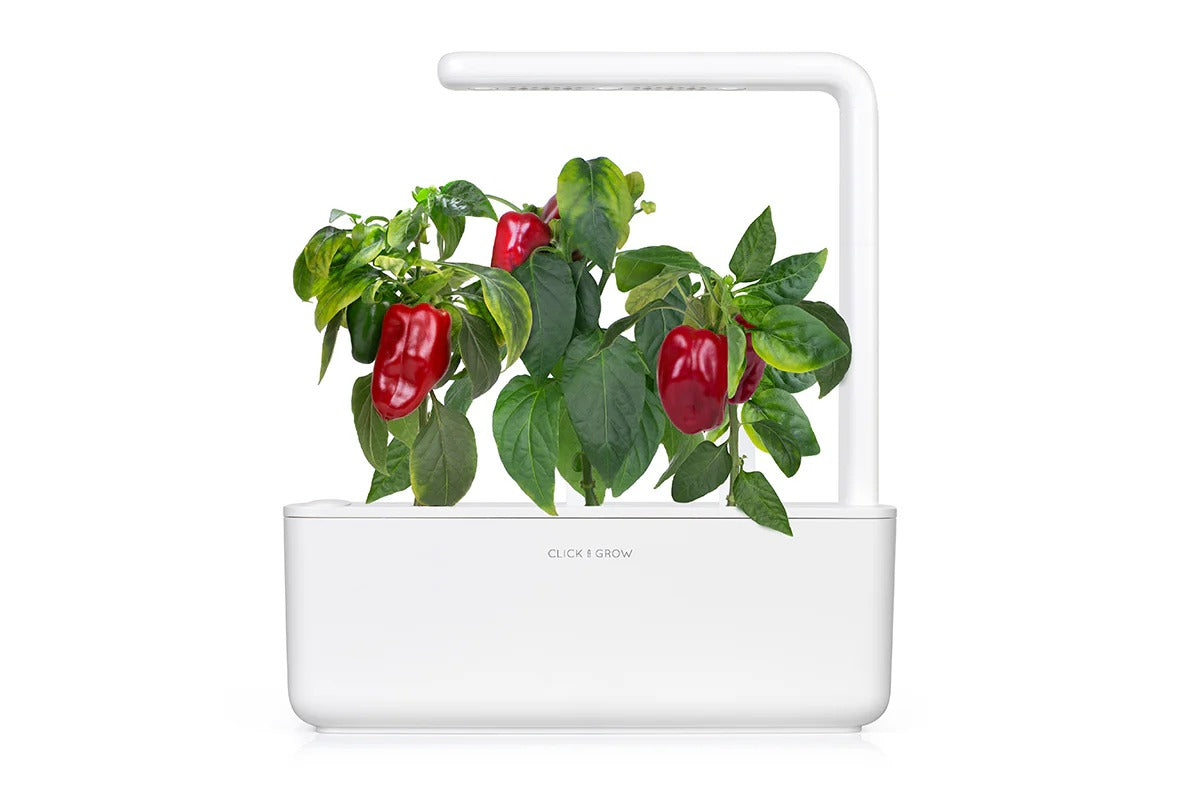 Click & Grow - Smart Garden Refill - Red Sweet Pepper