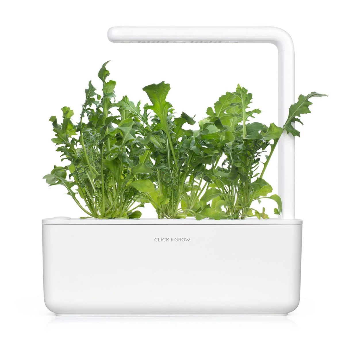 Click & Grow - Smart Garden Refill - Arugula