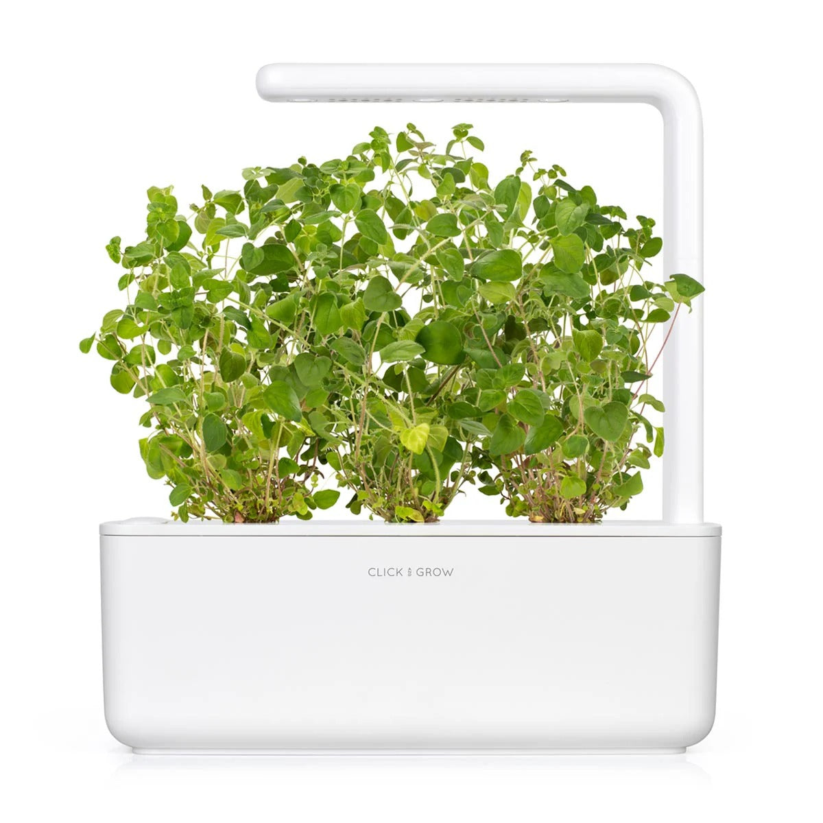 Click & Grow - Smart Garden Refill - Oregano