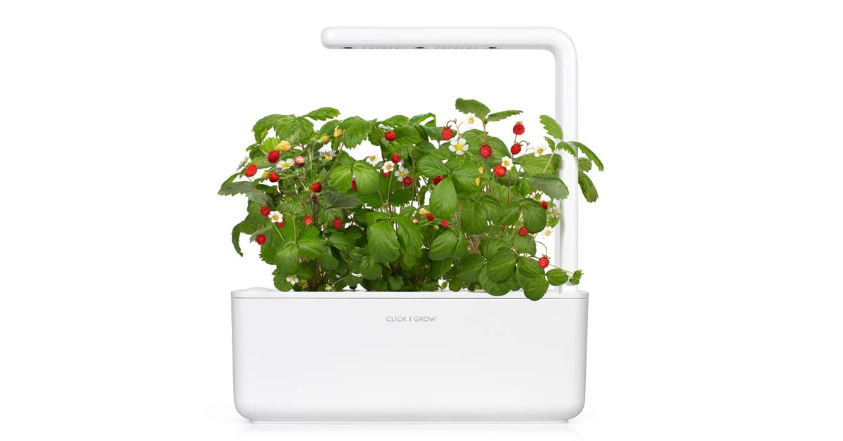 Click & Grow - Smart Garden Refill - Wild Strawberry