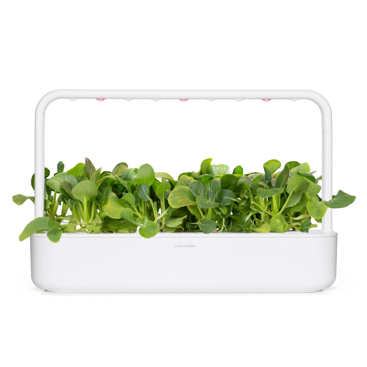 Click & Grow - Smart Garden Refill - Pak Choi