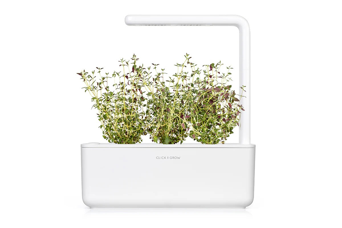 Click & Grow - Smart Garden Refill - Thyme