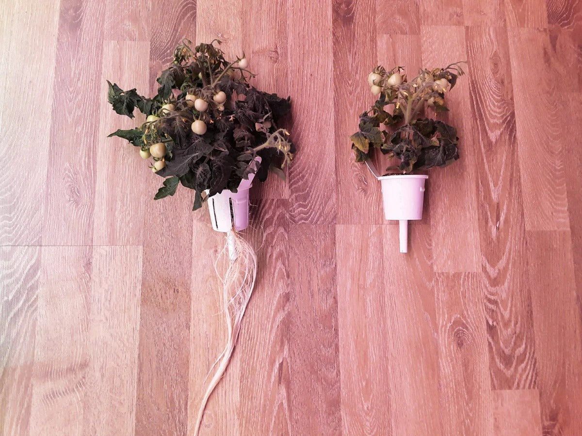 Click & Grow - Pro Plant Cups 9-pack