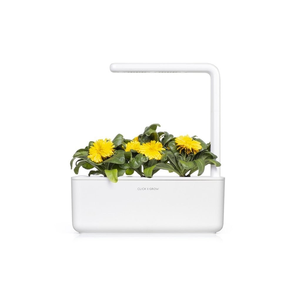 Click & Grow - Smart Garden Refill - Calendula