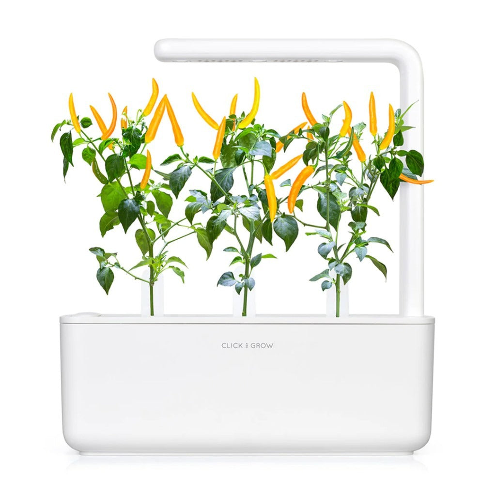Click & Grow - Smart Garden Refill - Yellow Chili Pepper