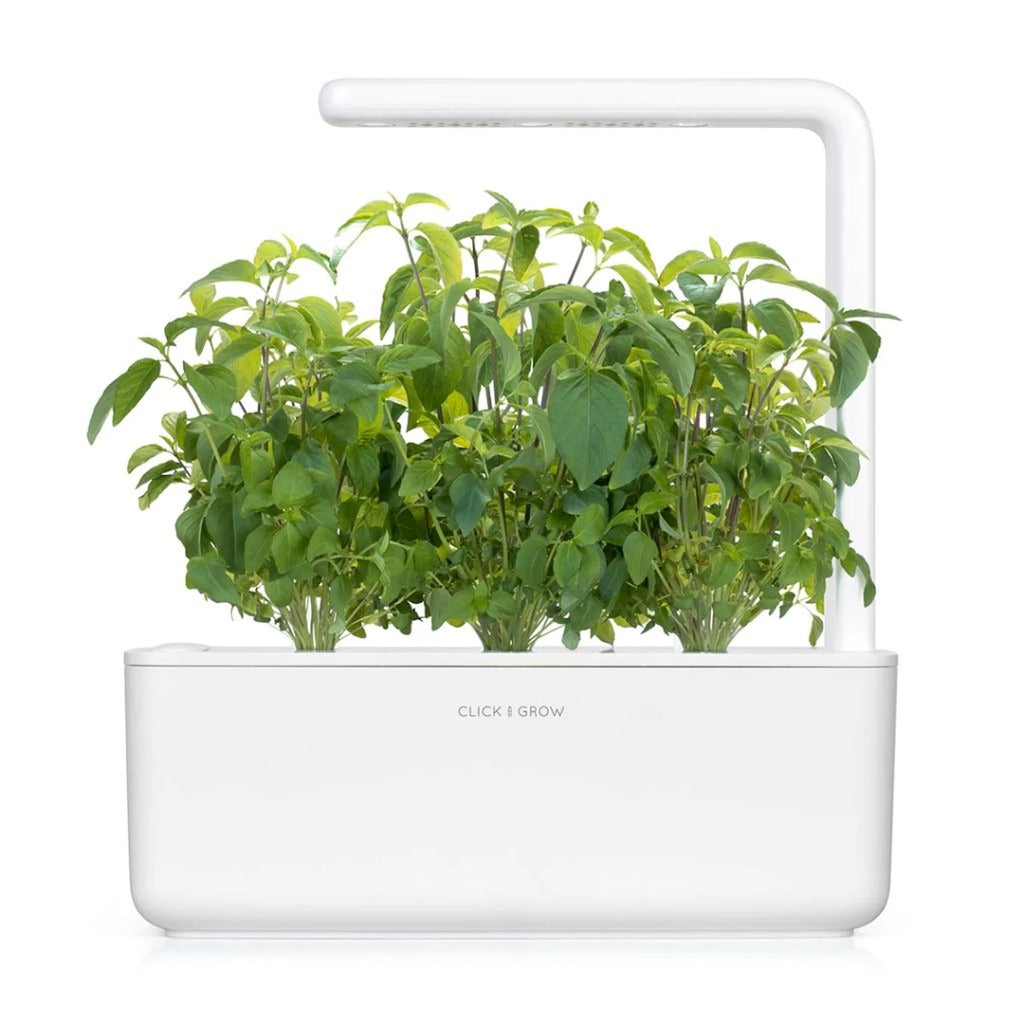 Click & Grow - Smart Garden Refill - Thai Basil