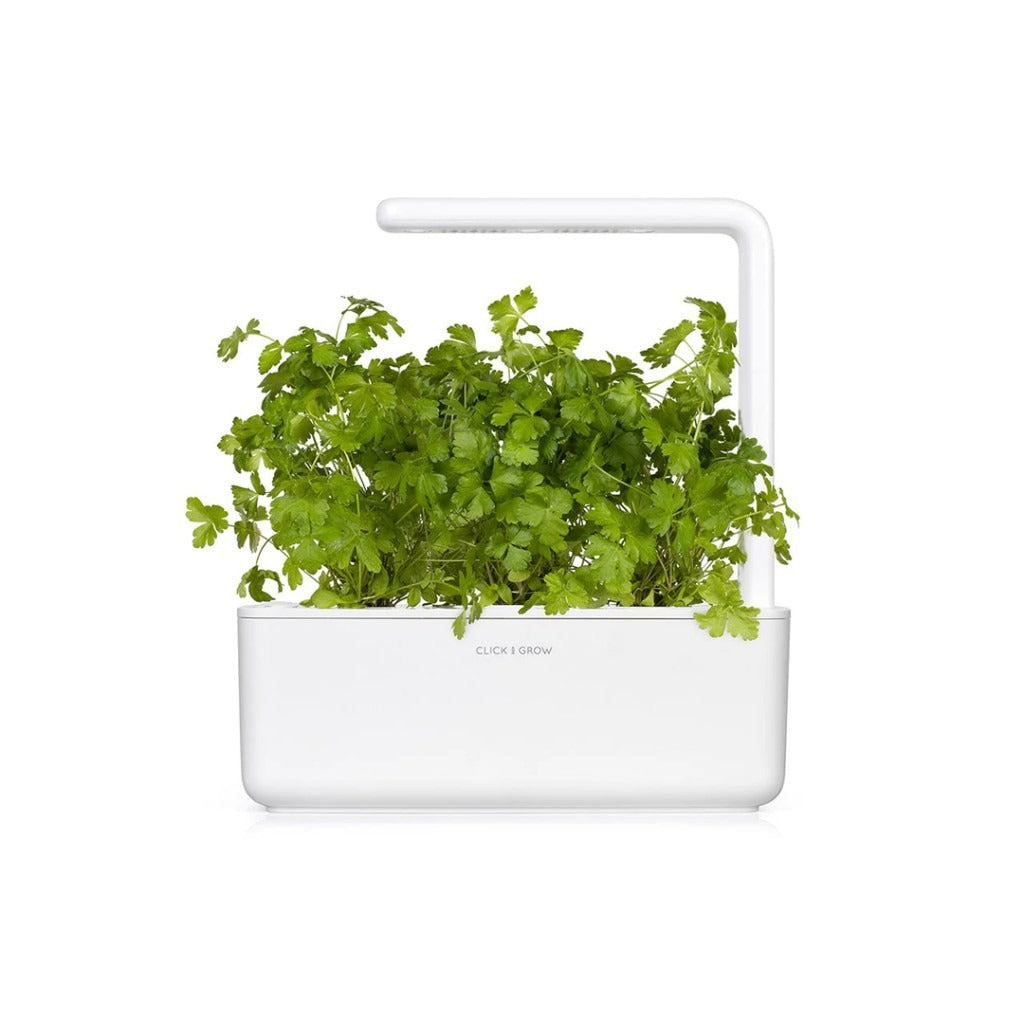 Click & Grow - Smart Garden Refill - Common Parsley