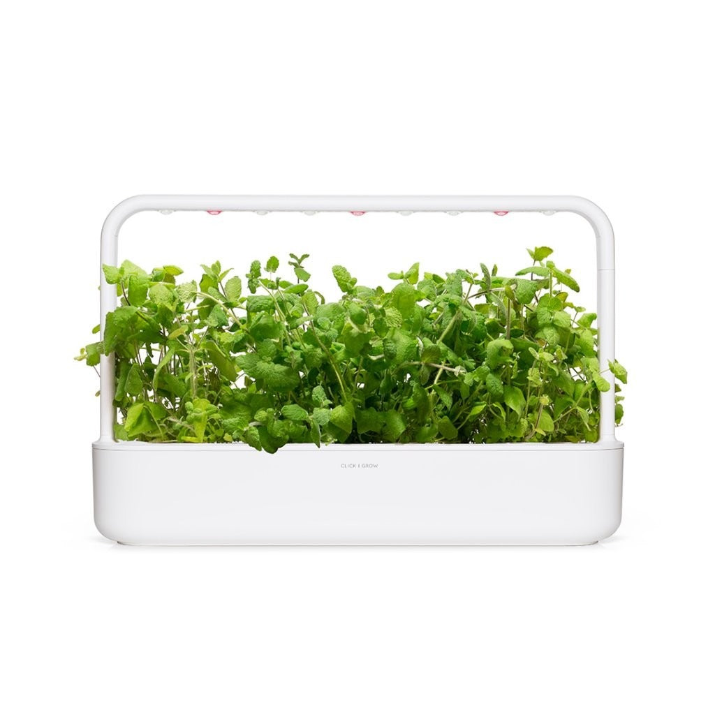 Click & Grow - Smart Garden Refill - Apple Mint