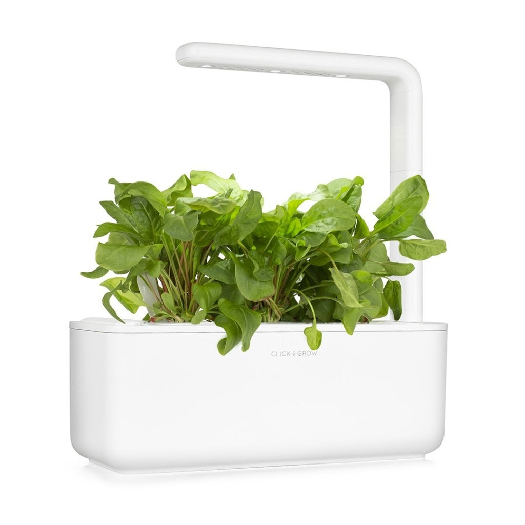 Click & Grow - Smart Garden Refill - Green Sorrel