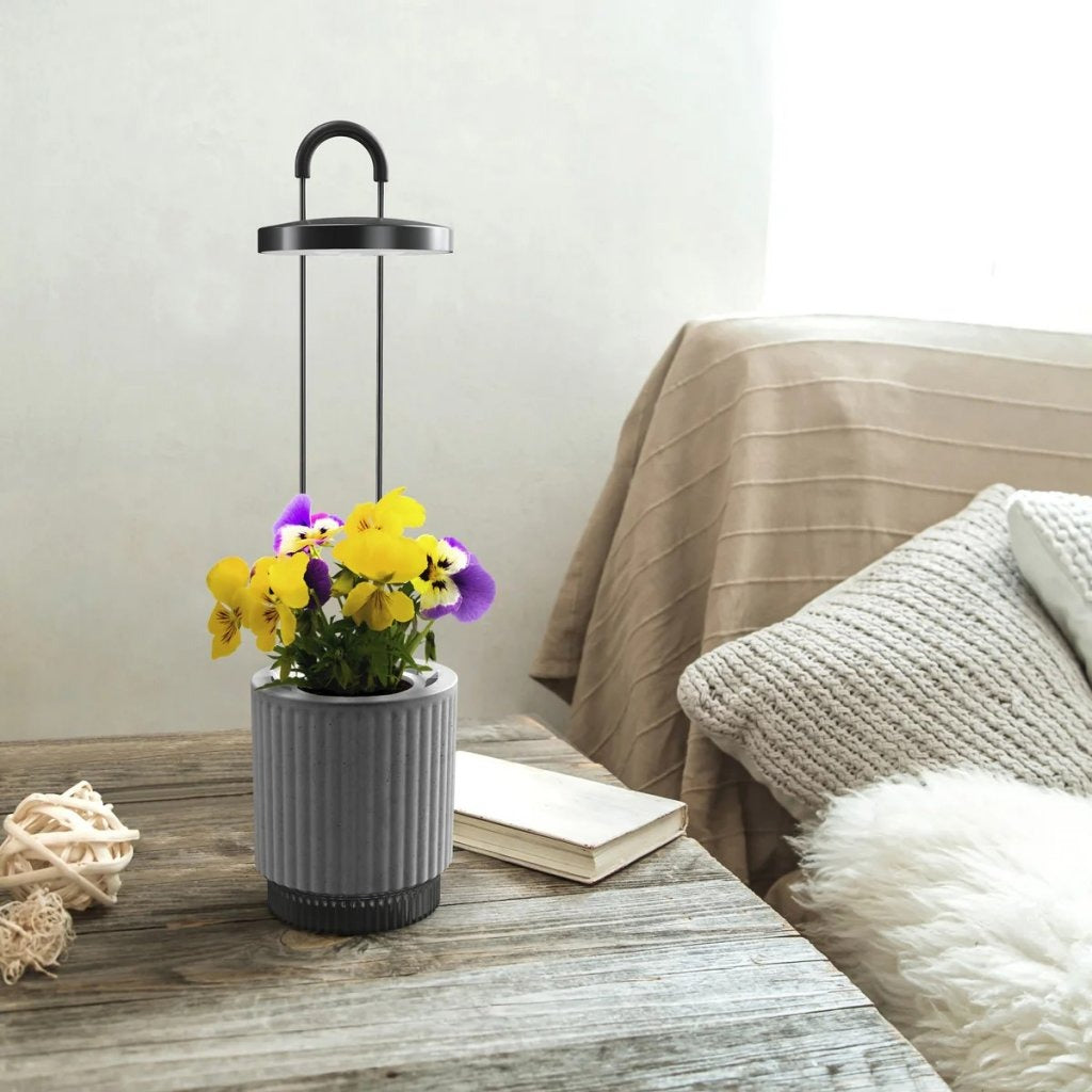 Click & Grow - HydroVase by Ermonix Indoor Plant Care Kit with LED Light