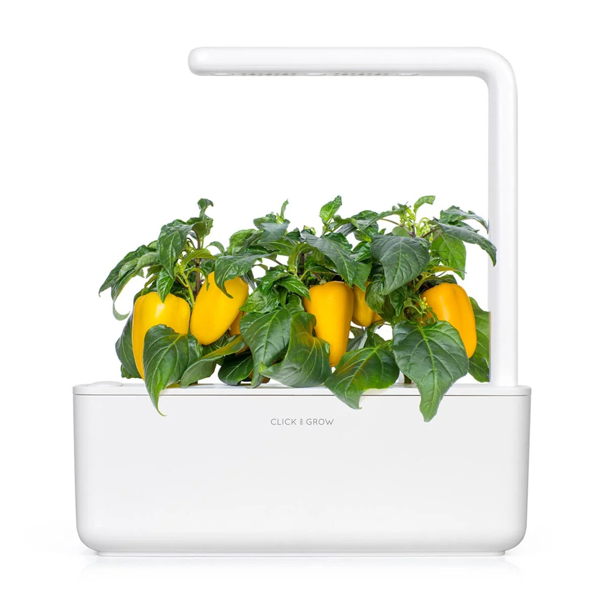 Click & Grow - Smart Garden Refill - Yellow Sweet Peppers