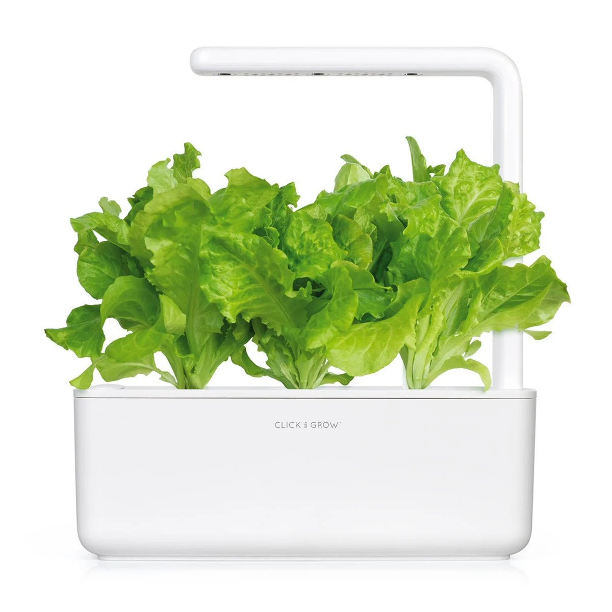 Click & Grow - Smart Garden Refill - Green Lettuce