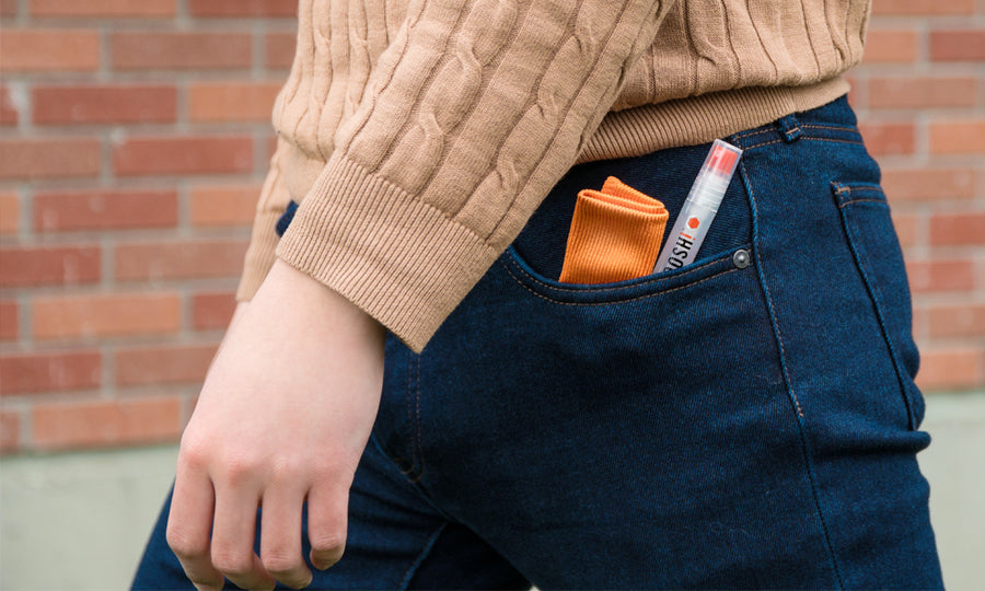 WHOOSH! - Screen Shine Duo XL